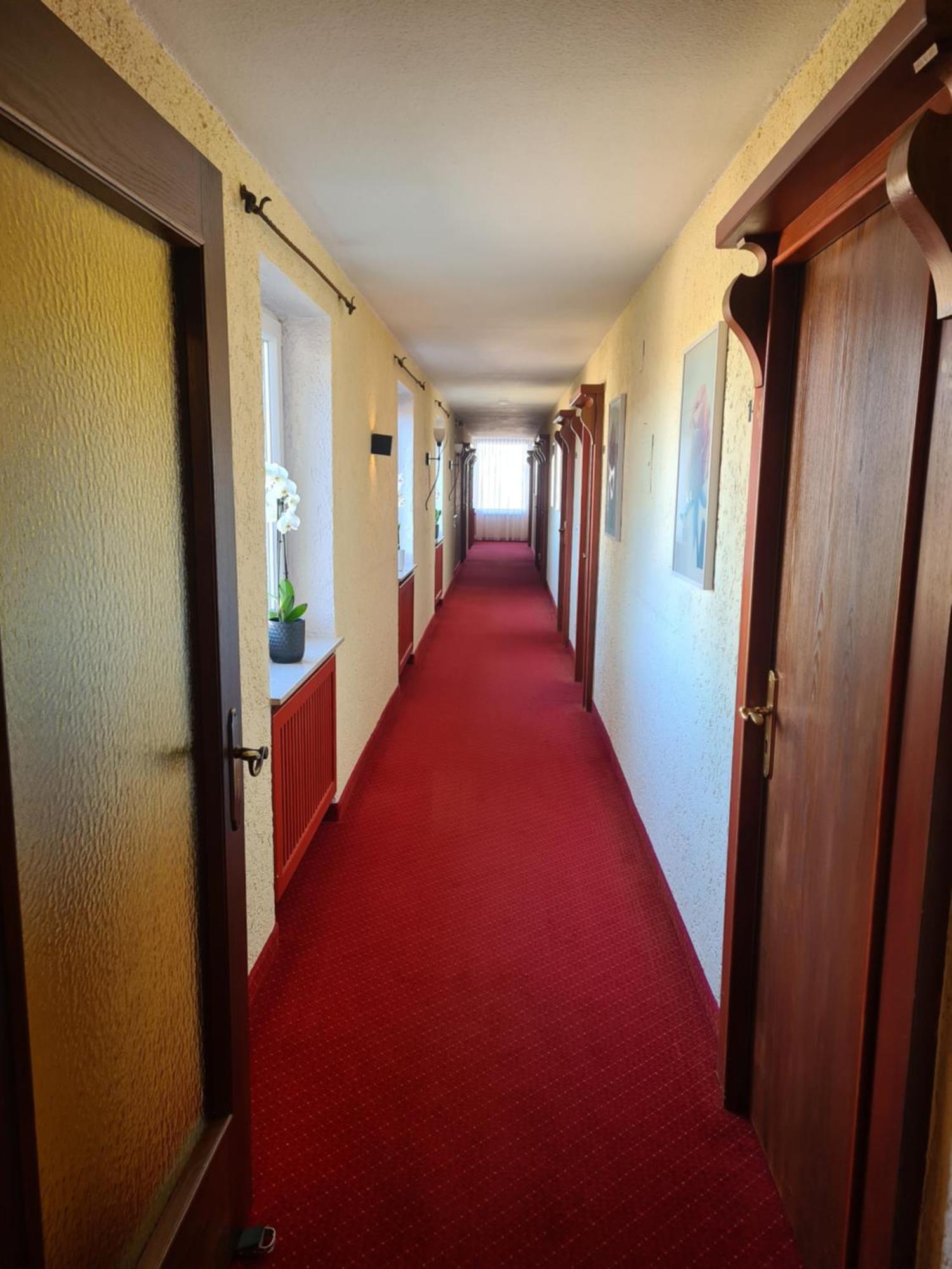 Hotel Birkenmoor Шайдегг Экстерьер фото